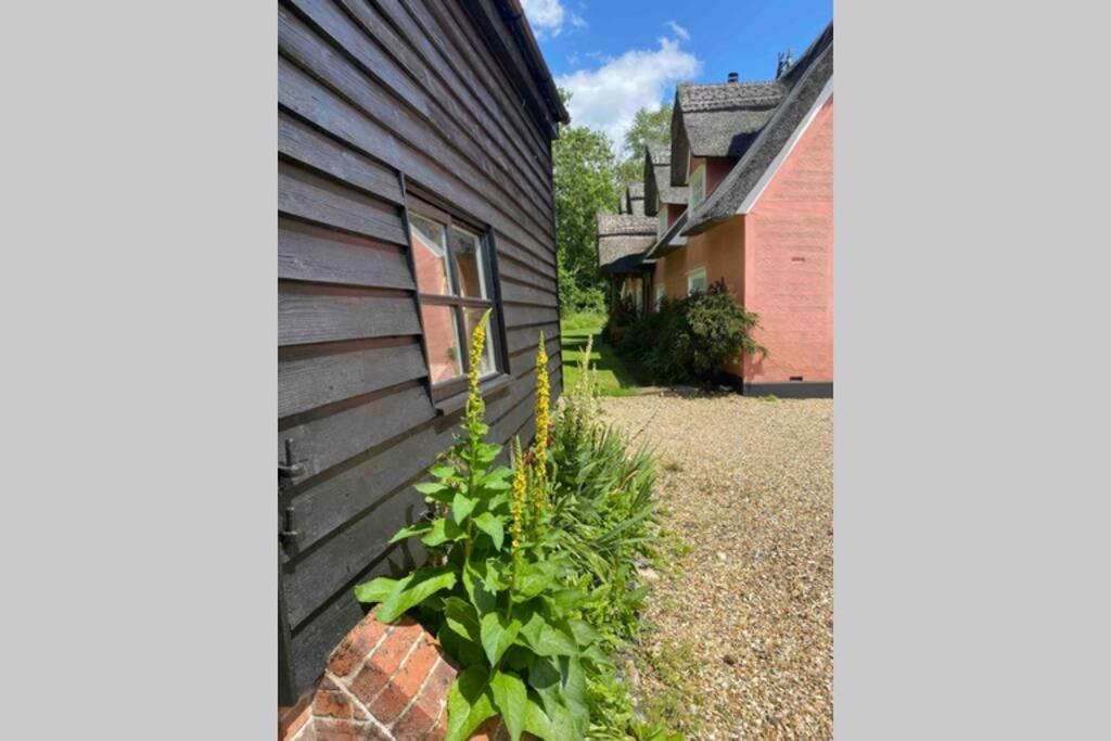 Gorgeous Comfortable Barn With Huge Private Orchard In Quiet Suffolk Location Depden Exteriér fotografie